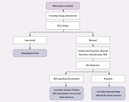 Complete Blood Count In Primary Care Bpacnz