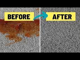 remove tomato sauce from your carpet