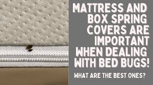 Box Spring Covers For Bed Bugs