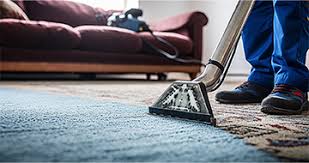 carpet cleaning services in petersfield