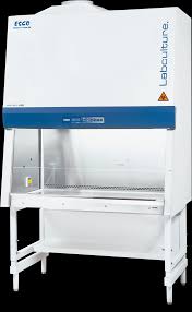 total exhaust biosafety cabinets