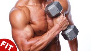 10 best muscle building exercises you