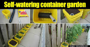 Making A Self Watering Container Garden
