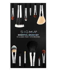 sigma essential brush set premier man