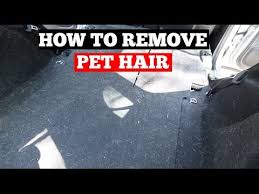 how to remove pet hair from car