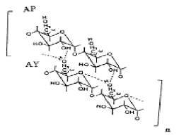 Hydrogen Bonding Between Amylose And Amylopectin Molecules