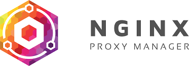 security header in nginx proxy manager