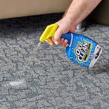 oxiclean carpet stain remover spray 24 oz