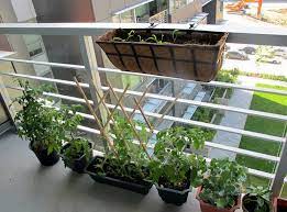Balcony Kitchen Gardening Ideas For