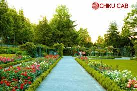 places to visit near chandigarh chiku