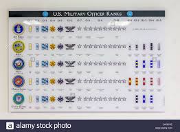 Chart Showing Us Military Officer Rank Information Stock