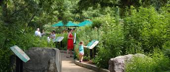 pollinator garden at the national