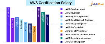 Aws Certification Salary Top 10 Aws