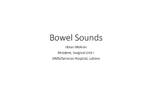 Bowel Sounds