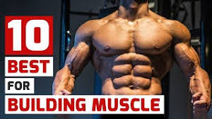 muscle building exercises
