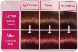 Feria Professional Hair Color Chart Hair Color 2016 2017
