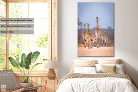 Walking Tall Giraffe Wall Art On