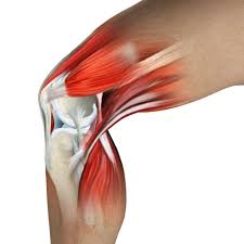 What Is Causing Your Knee Pain