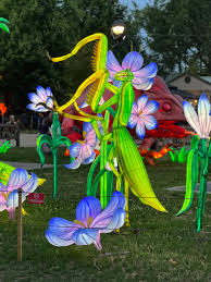 philadelphia chinese lantern festival 2023