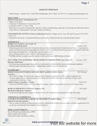 However this curriculum vitae sample must not be distributed or made available on other websites. Family Law Attorney Resume Family Law Attorney Resume Sample Family Law Attorney Resume Examples Resume Template Resume Design Business Resume