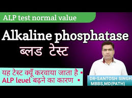 Alkaline Phosphatase Test In Hindi Alkaline Phosphatase Normal Range Alp Test In Hindi Alp Test