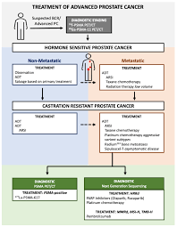 management of advanced prostate cancer