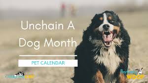 This day encourages people to love their pets and if possible, adopt those pets in need of a home. Pet Calendar Unchain A Dog Month Positively Woof