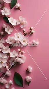 119 bunga sakura wallpaper hd unduh