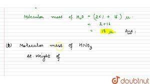 calculate the relative molecular m