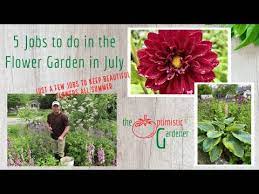 Jobs To Do In The Flower Garden In July