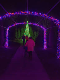 cheekwood sparkles with holiday lights