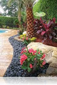 25 Best Palm Trees Landscaping Ideas