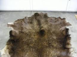 very nice tan moose hide rug the real