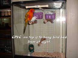 How To Build A Better Bird Cage