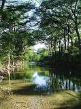 Medina River Natural Area de San Antonio | Horario, Mapa y entradas 3