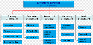 organizational structure organizational