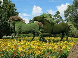 Horse Shaped Topiary Plants At