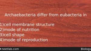 archaebacteria differ from eubacteria