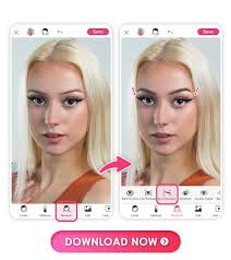 edit eyebrows in photos with a free app
