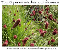 My Top 10 Perennials For Cut Flowers