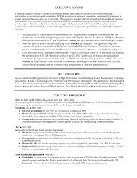 46 Special Sales Manager Resume Objective Av A17107 Resume Samples