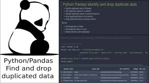 python pandas find and drop duplicate