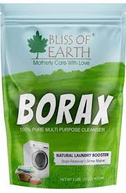 bliss of earth american borax detergent