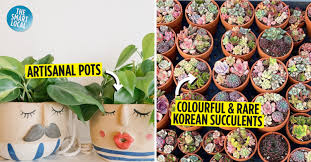8 boutique plant s in singapore to