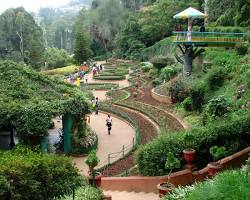 Ooty botanical gardens