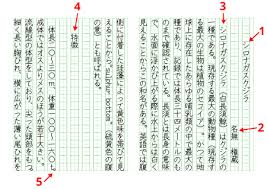 Japanese society after ww  essay How to use genkouyoushi    Japanese writing paper for Kanji practice 