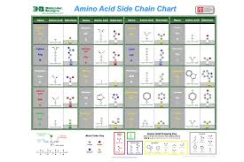 Amino Acid Starter Kit Poster