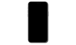 fix the iphone xs max black screen