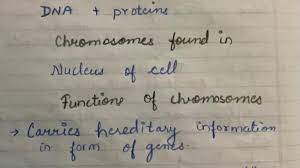 What are chromosomes- Definition & Functions - Questions House
