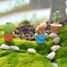 Fairy Garden Miniature Potted Plant